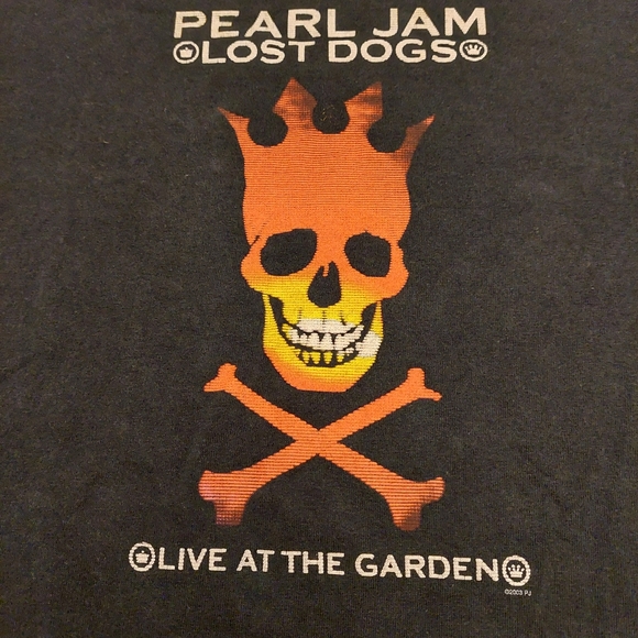 Pearl Jam Lost Dogs live at the garden burning skull concert t shirt. Size L - Picture 3 of 6
